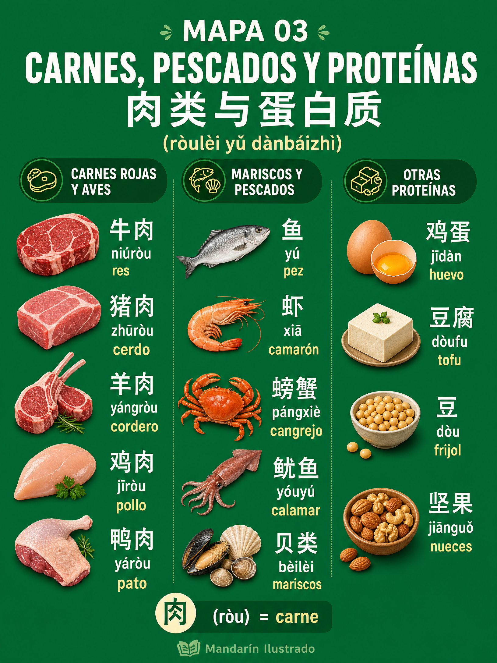 Meat and Proteins