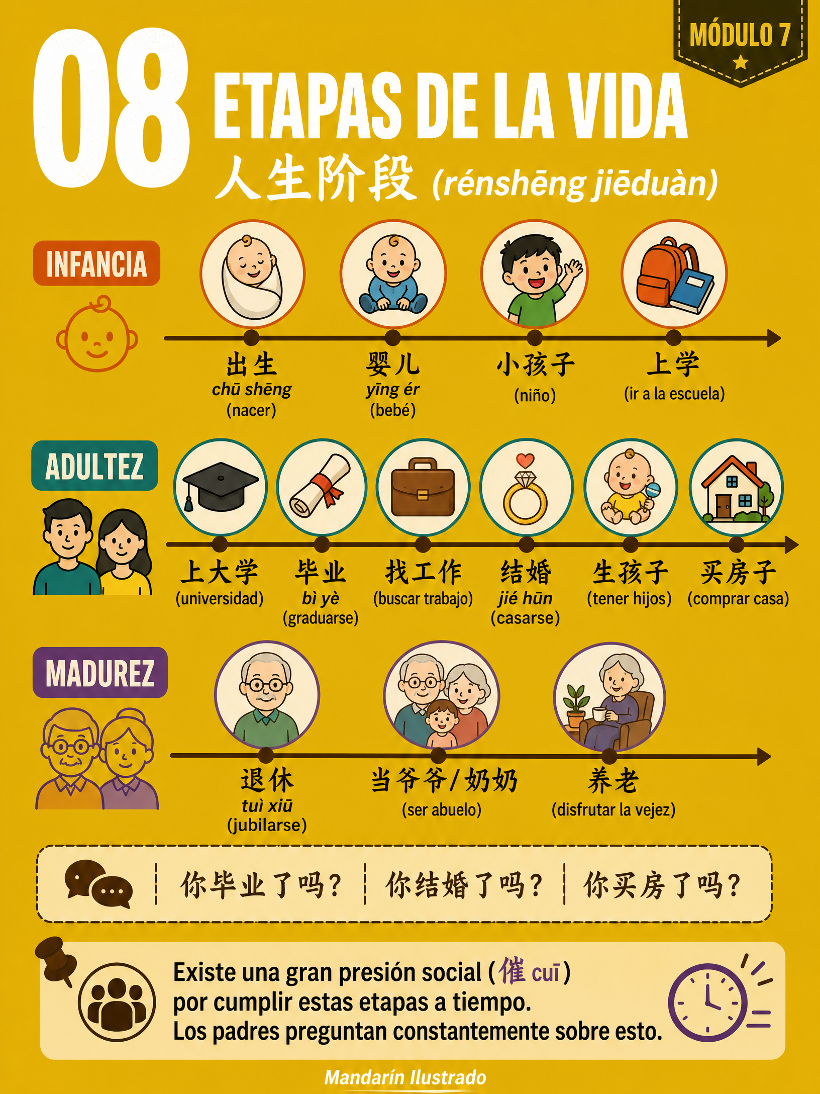 Stages of Life