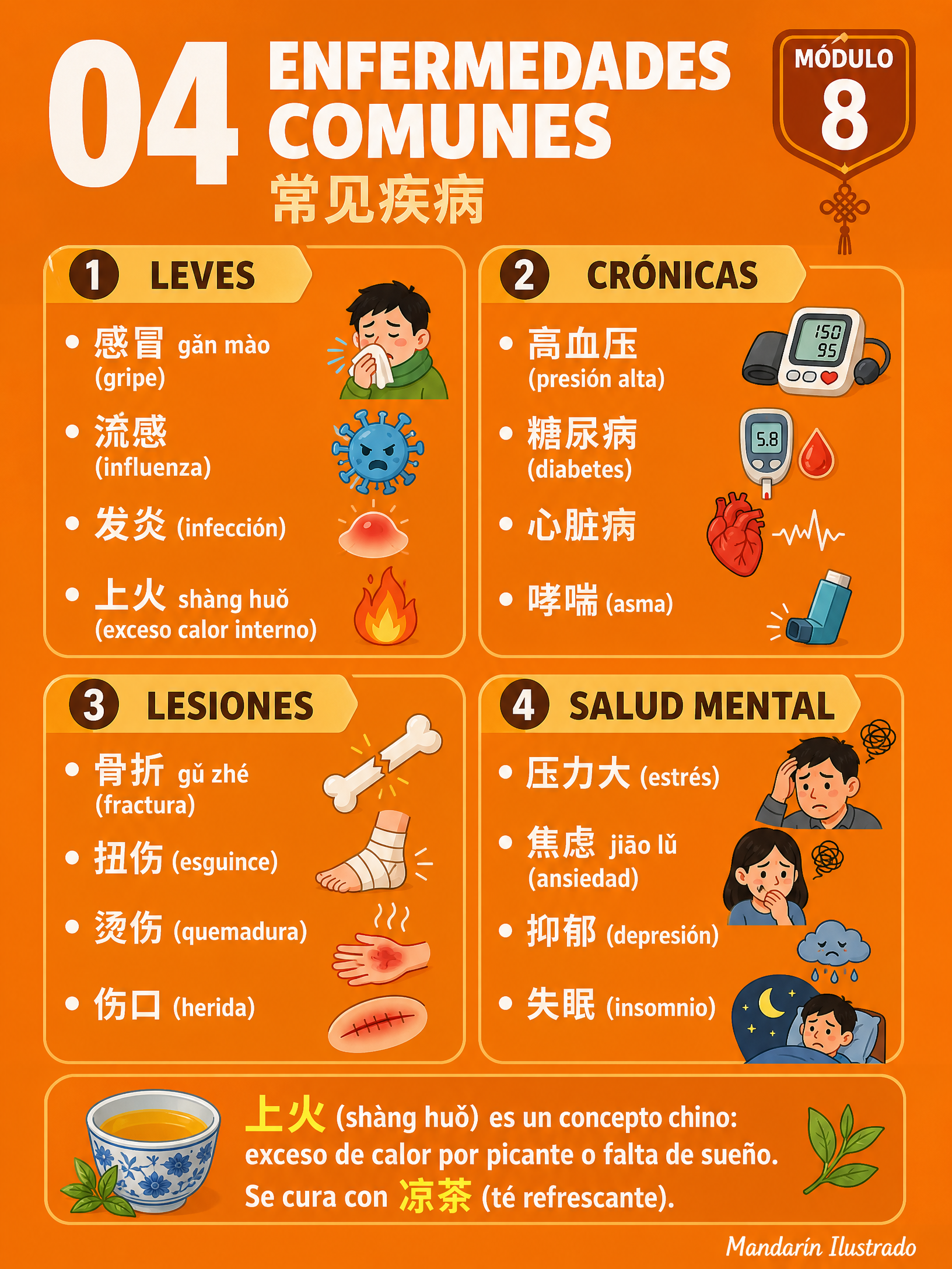 Common Illnesses