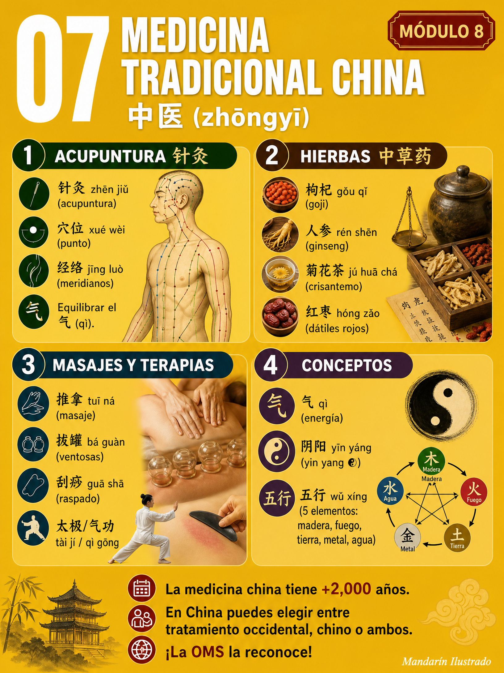 Traditional Medicine